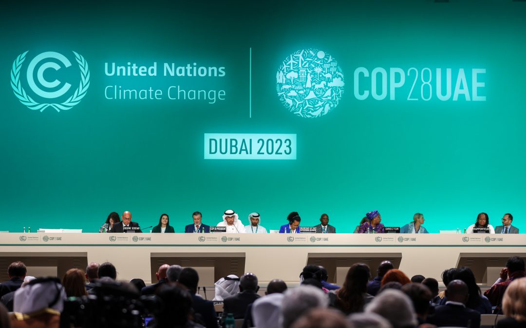 view of the dais during a plenary session during COP28