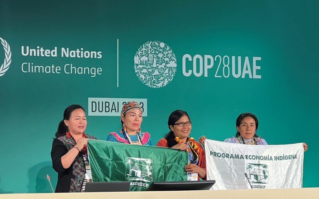 picture of an indigenous women panel holding the logo flag of the Interethnic association for the development of the Peruvian Rainforests