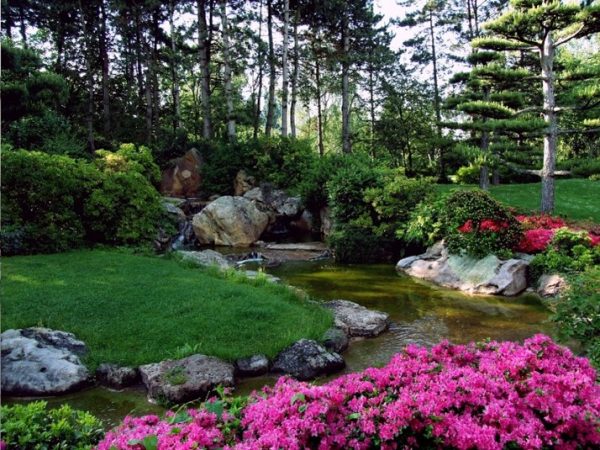 picture of a garden in a park