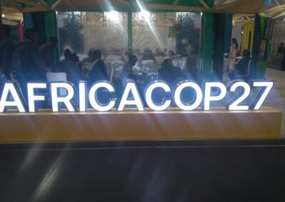 Should Africa stall its growth as we push for net zero by 2050? – COP CAS student blog
