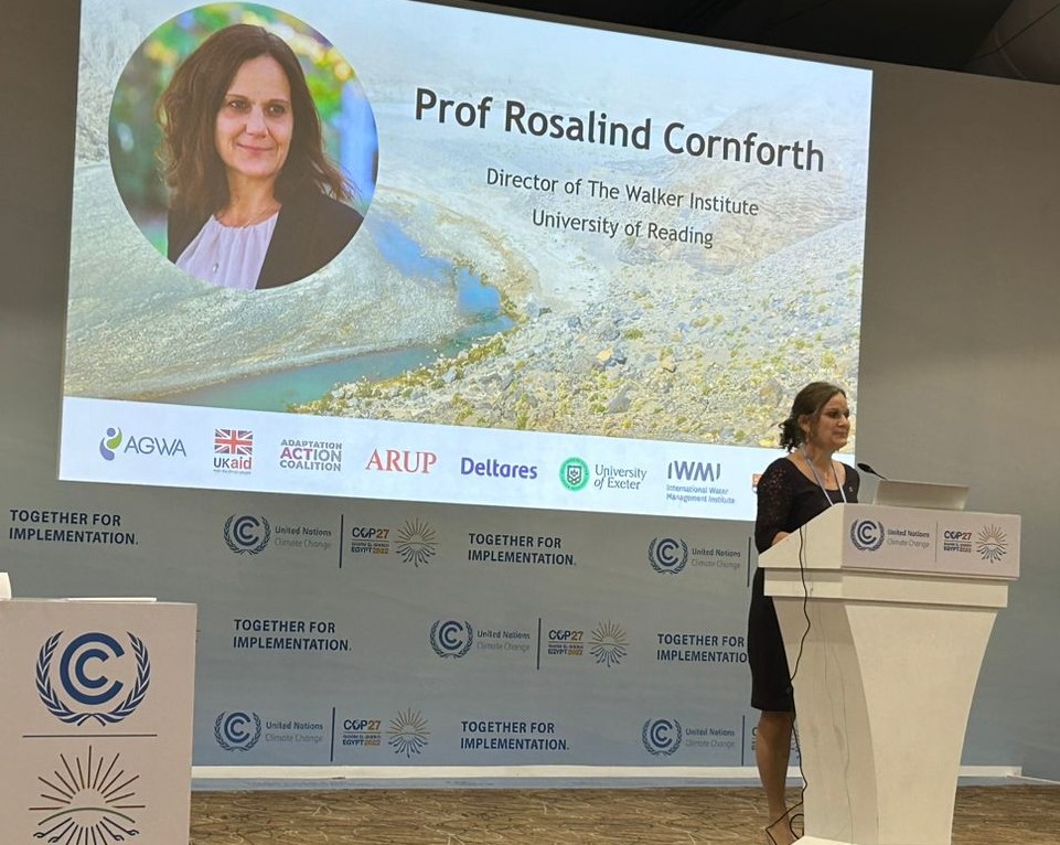 Prof. Rosalind Cornforth in COP27