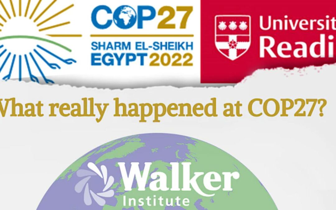 Walker Institute: What really happened at COP27?