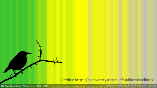 picture showing the loss of biodiversity in bird species 