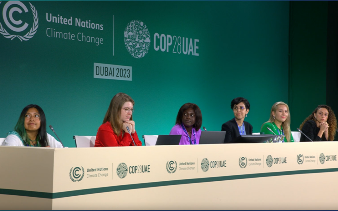 Youth panel dismayed over food system’s minor role at COP28 – COPCAS 2023 Student Blog