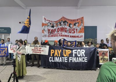 Does COP29 Have a Future?