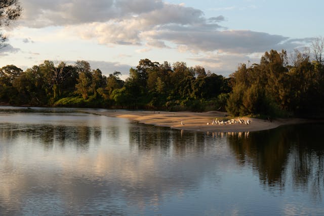 A Need for Integrated Nature & Climate Solutions in an Interconnected World
